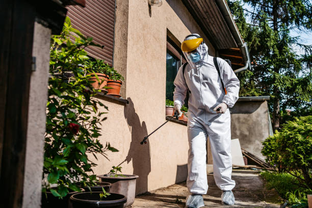 Best Best Pest Control Companies  in Fannett, TX