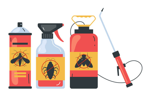 Best Pest Inspection Near Me  in Fannett, TX