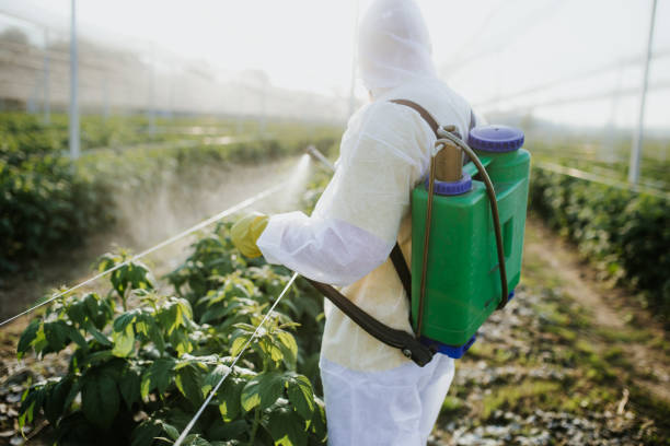 Professional Pest Control in Fannett, TX